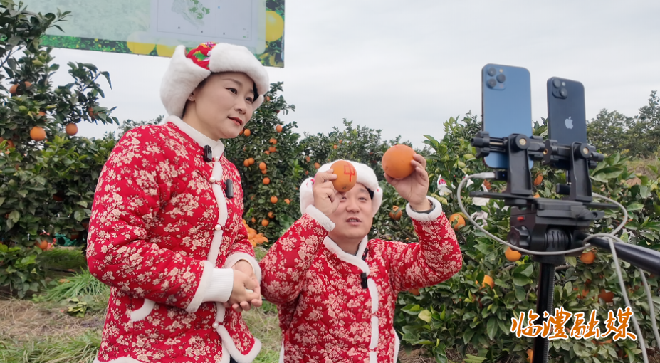 ScreenShot_2025-12-18_105826_374.png ScreenShot_2025-12-18_105826_374.png