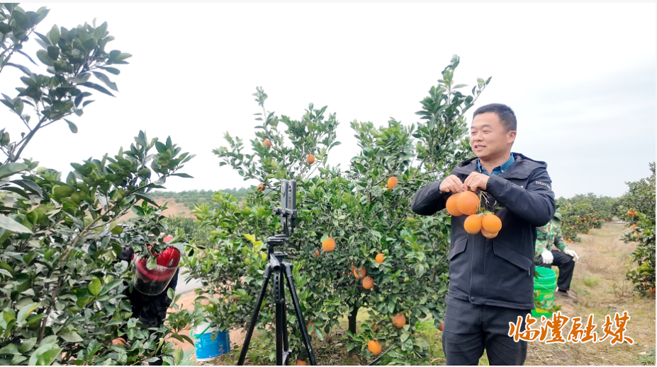 ScreenShot_2025-12-18_105839_415.png ScreenShot_2025-12-18_105839_415.png