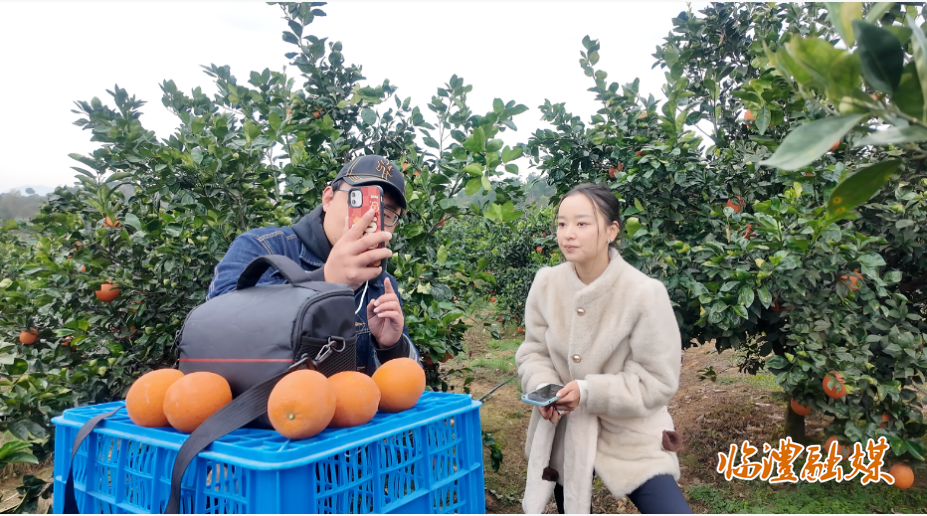 ScreenShot_2025-12-18_105851_104.png ScreenShot_2025-12-18_105851_104.png