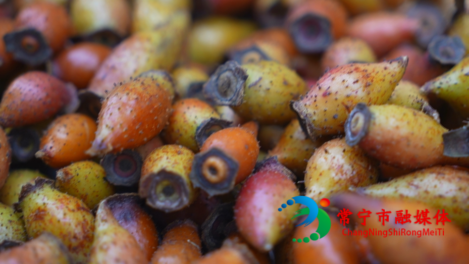 美食_看图王.jpg 美食_看图王.jpg