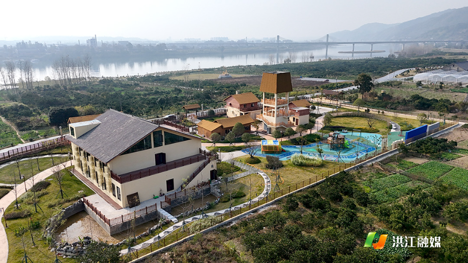 杨新宇:双重身份下的实干坚守与为民初心3.jpg 杨新宇:双重身份下的实干坚守与为民初心3.jpg