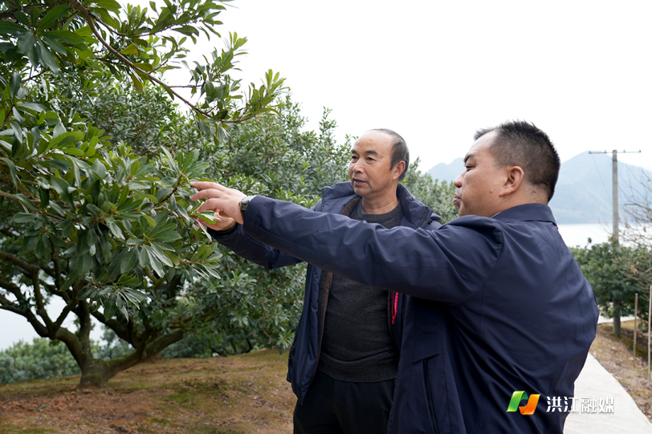 易石林:以代表担当绘就和美富裕乡村新图景2.jpg 易石林:以代表担当绘就和美富裕乡村新图景2.jpg