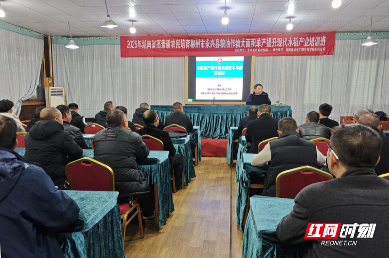 微信图片_2025-12-19_100018_563_proc.jpg 微信图片_2025-12-19_100018_563_proc.jpg