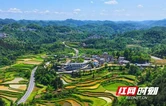 四季流转产业焕新——“蔚文之乡”凤凰县吉信镇的振兴长卷