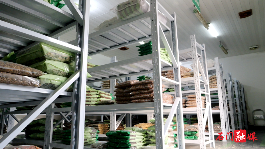 中药材飘香 产业发展“有方”6.png