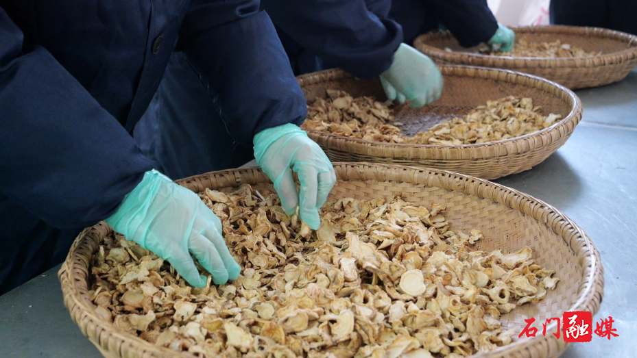 中药材飘香 产业发展“有方”8.png