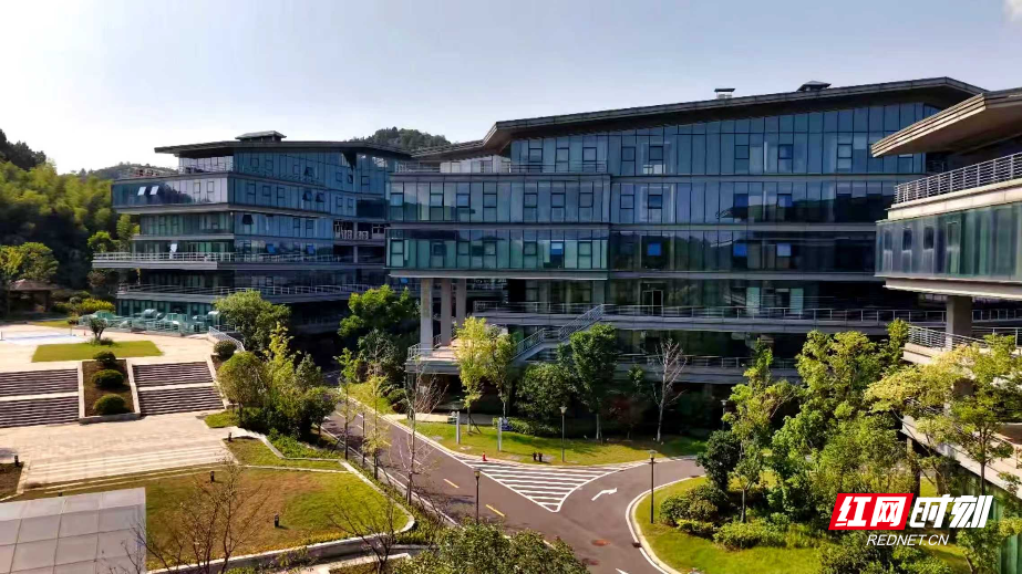 WechatIMG18098.jpg WechatIMG18098.jpg