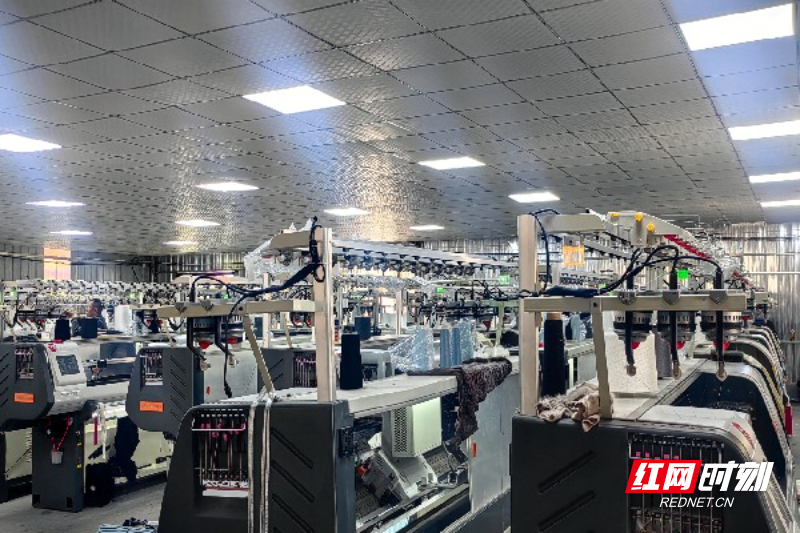 微信图片_20251230090027_973.jpg 微信图片_20251230090027_973.jpg