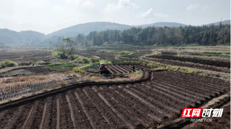 宜章县：4万亩烟田翻耕忙(1)413.png