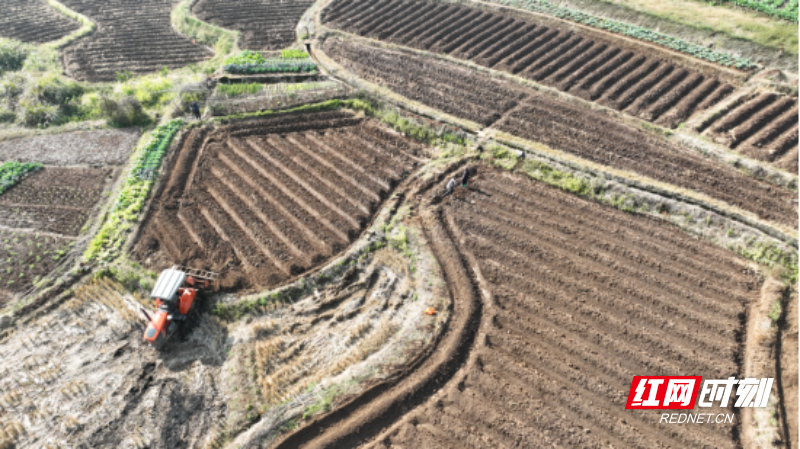 宜章县：4万亩烟田翻耕忙(1)415.png