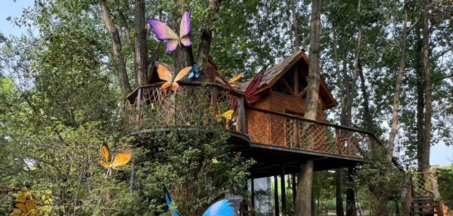 常德武陵来打卡之撒野丨一杯咖啡与一片森林的治愈回响