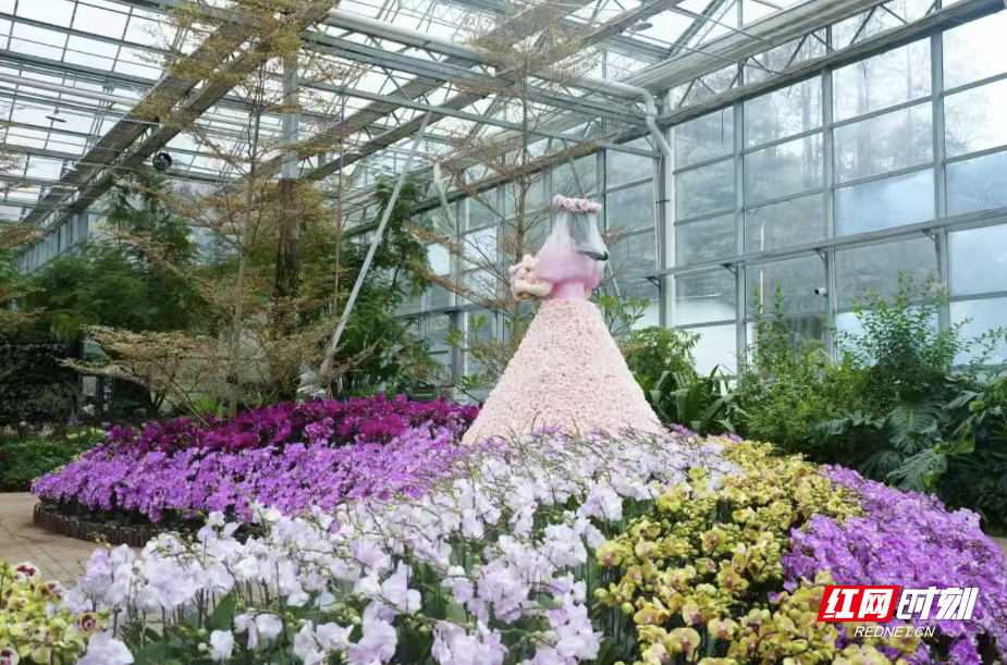 ScreenShot_2026-01-01_161018_409.jpg ScreenShot_2026-01-01_161018_409.jpg