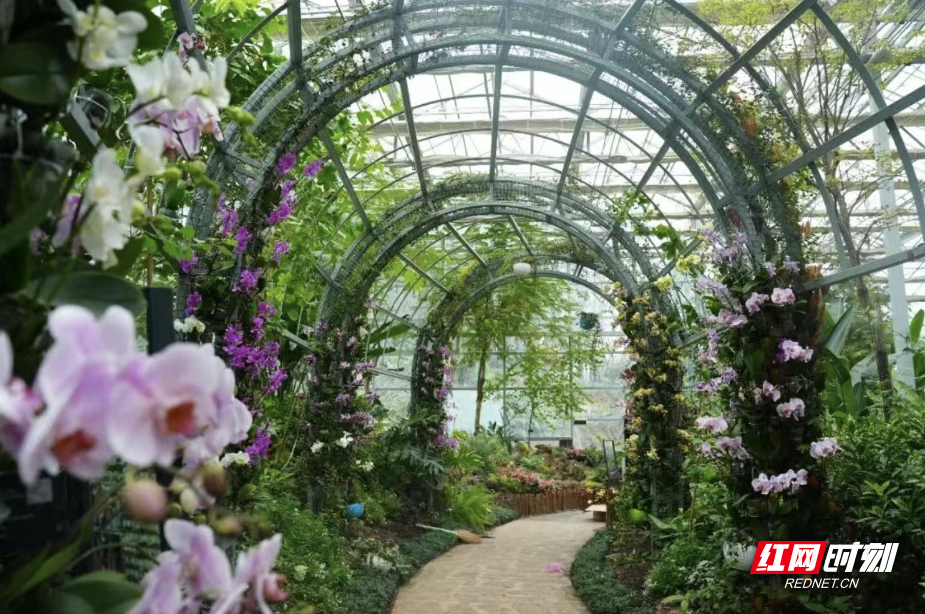 ScreenShot_2026-01-01_161029_052.jpg ScreenShot_2026-01-01_161029_052.jpg