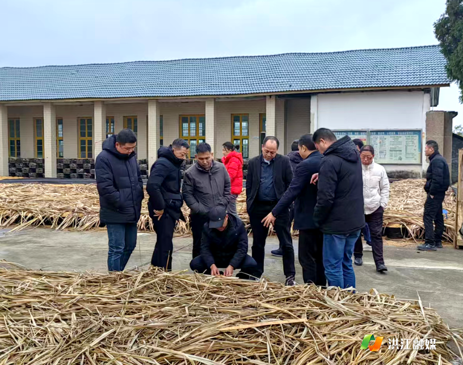 市林业局2.png 市林业局2.png