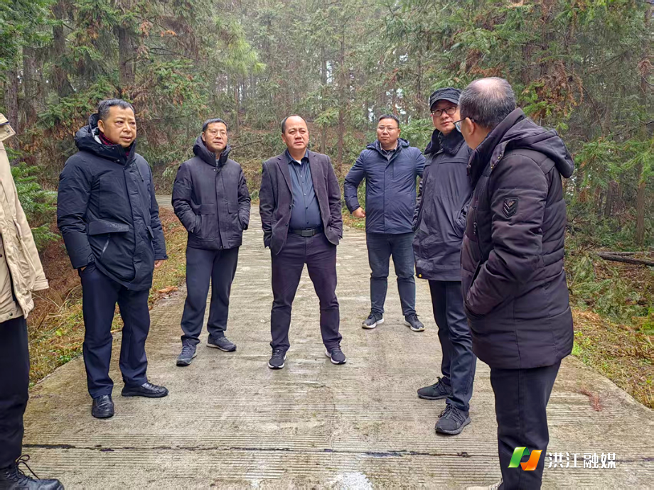 市林业局.png 市林业局.png