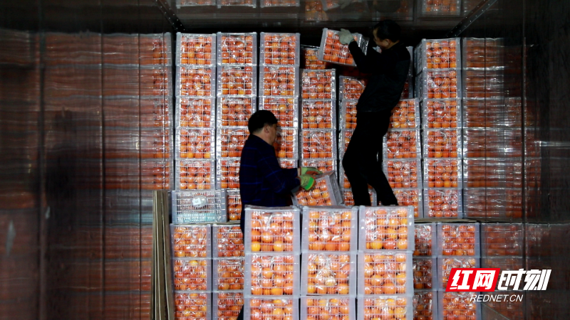 马来西亚 (6).png