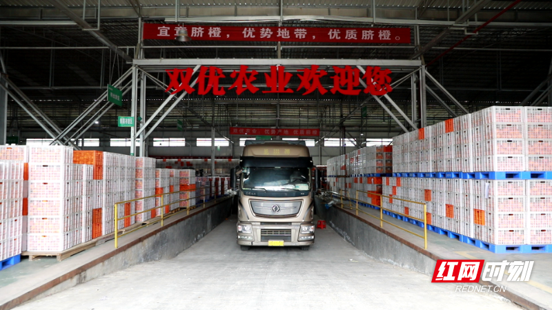 马来西亚 (1).png