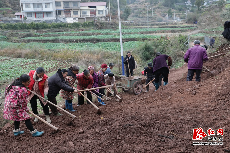 微信图片_20260106163731.jpg 微信图片_20260106163731.jpg