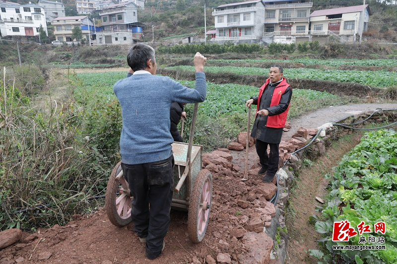 微信图片_20260106163716.jpg 微信图片_20260106163716.jpg