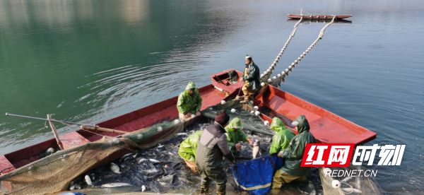 8402ca0cbd76b3d9b5690e359c2a9d63.jpg 8402ca0cbd76b3d9b5690e359c2a9d63.jpg