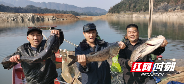 64767ff57ece915615fe20a9b1b1c7a2.jpg 64767ff57ece915615fe20a9b1b1c7a2.jpg