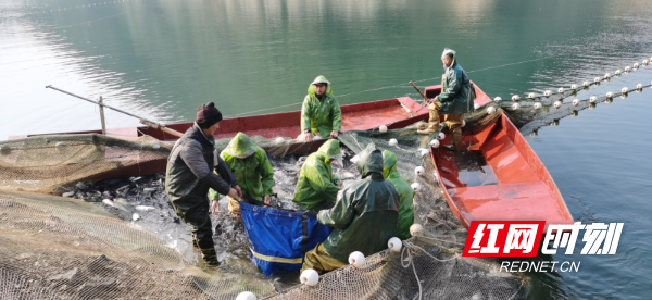 c511c0480aa0ff2f56fcc6ccc5fb2ba4.jpg c511c0480aa0ff2f56fcc6ccc5fb2ba4.jpg