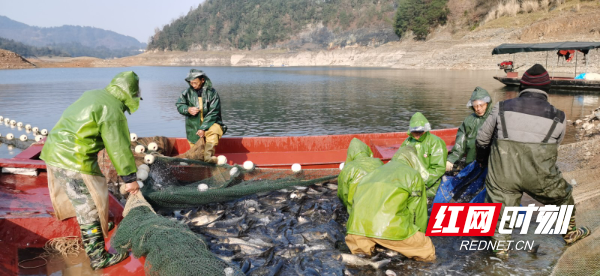 da7a59019c83aa1a0591e1765ae00715.jpg da7a59019c83aa1a0591e1765ae00715.jpg