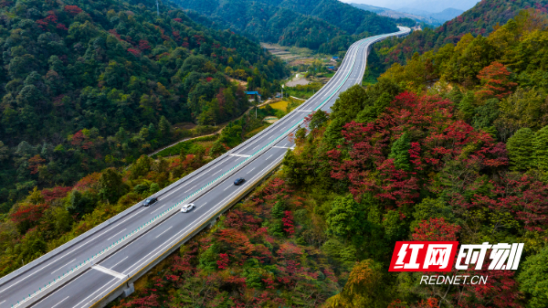 6-1、冬日里层林尽染、色彩斑斓的芷铜高速公路。.jpg