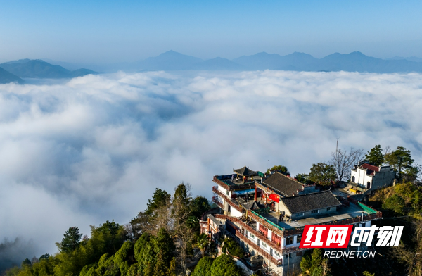 DJI_20251226085555_0781_D.jpg DJI_20251226085555_0781_D.jpg