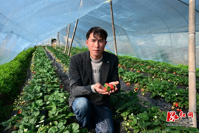 微信图片_20260109102635.jpg 微信图片_20260109102635.jpg