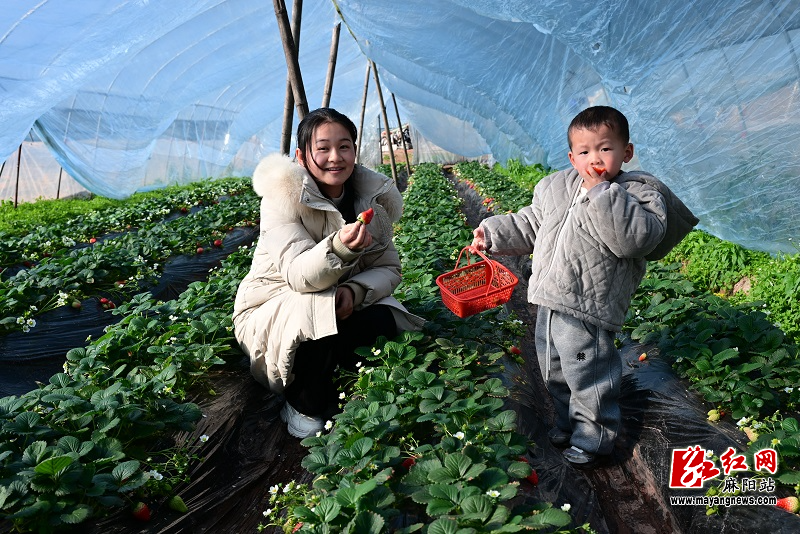 微信图片_20260109102632.jpg 微信图片_20260109102632.jpg