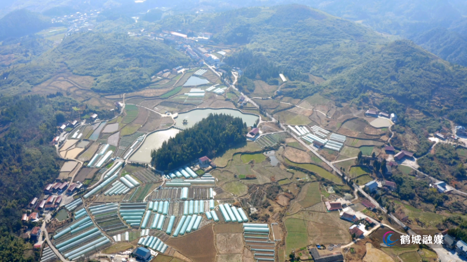 山水织锦入画来 黄岩大坪村绘就农旅融合新图景.mp4_000041.958.png