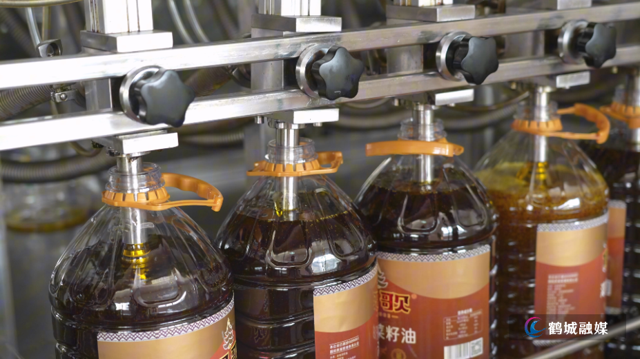 科技赋能全链升级 盛源油脂绘就“十五五”油茶产业新蓝图.mp4_000100.033.png
