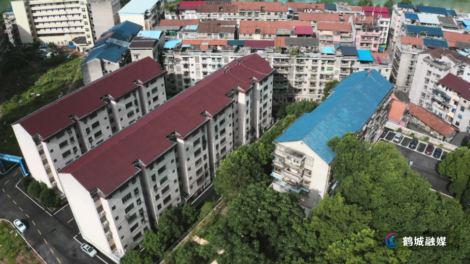 初编 真抓实干 奋力推动“十五五”开好局起好步.mp4_000100.660.png