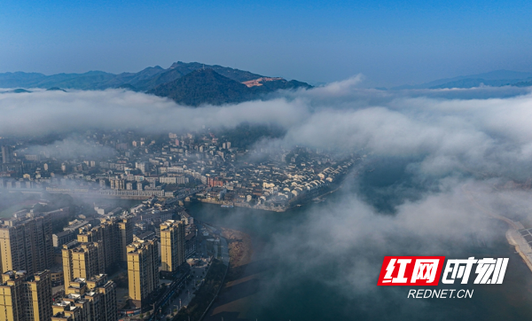 微信图片_20260113115331_771_11_副本.jpg 微信图片_20260113115331_771_11_副本.jpg