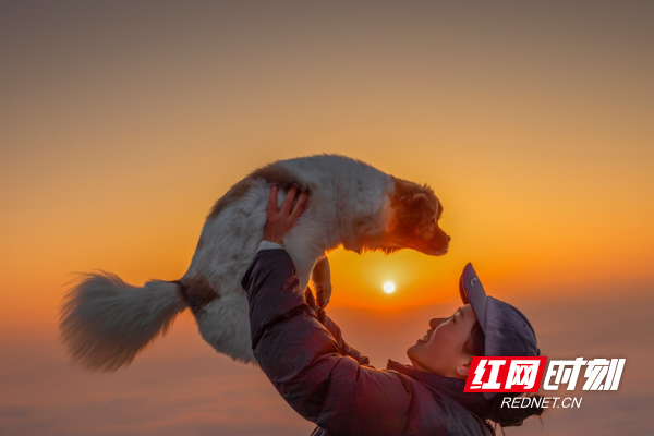 微信图片_20260113111141_763_11_副本.jpg 微信图片_20260113111141_763_11_副本.jpg