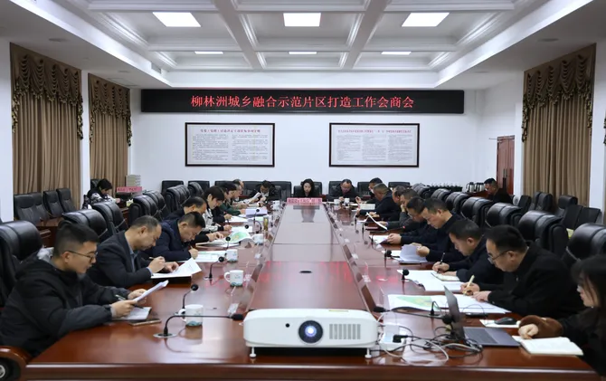 雷欣调研柳林洲城乡融合示范片区打造工作