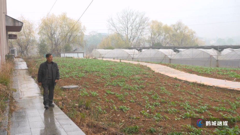 鹤城区：“社保兜底+就业赋能” 助力被征地村民安居乐业（半成品）.mp4_000002.067.png