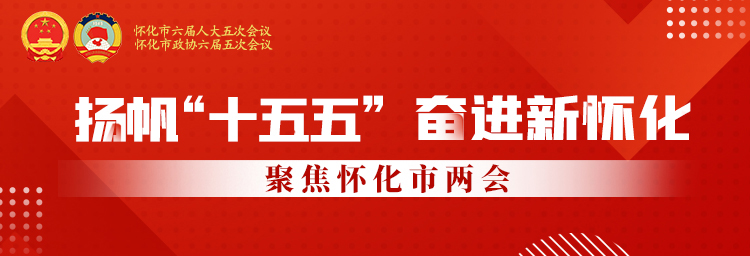 专题丨扬帆“十五五” 奋进新怀化