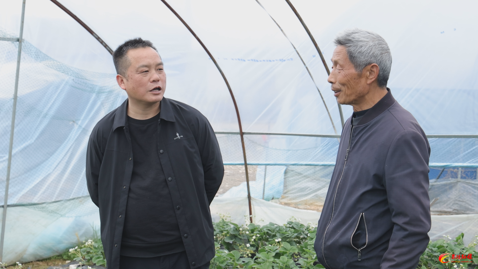 f8b7953f06ecc09f63a70c9da17413e6_yfNecClvK14A.png f8b7953f06ecc09f63a70c9da17413e6_yfNecClvK14A.png