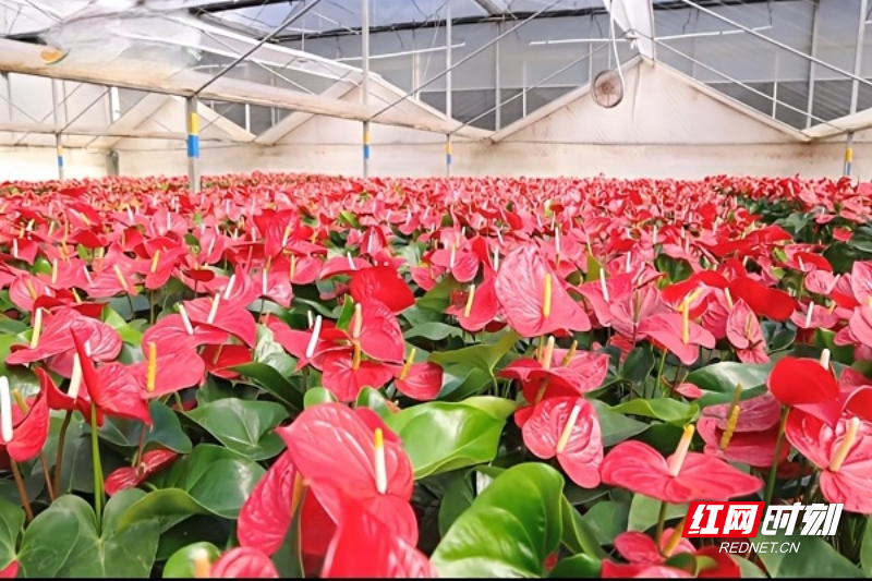 1340aaabf134e4558b170ed517dbedc.jpg 1340aaabf134e4558b170ed517dbedc.jpg