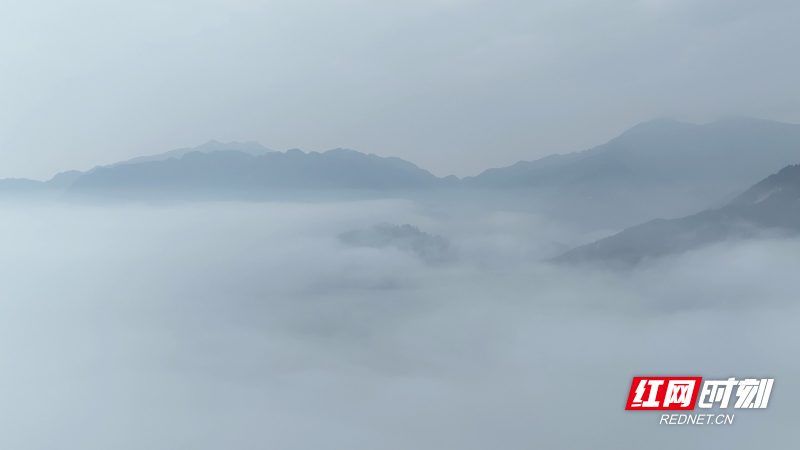 859_副本.jpg 859_副本.jpg