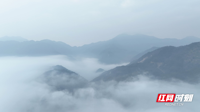 548_副本.jpg 548_副本.jpg