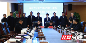 “大院”+“大城”，1+1>2的共生