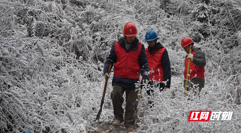 踏雪巡线，资兴电力筑牢冬季供电屏障.png