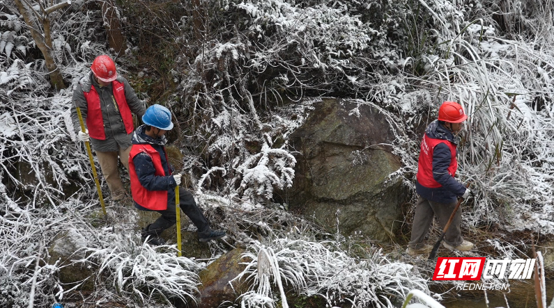 踏雪巡线，资兴电力筑牢冬季供电屏障 (1).png