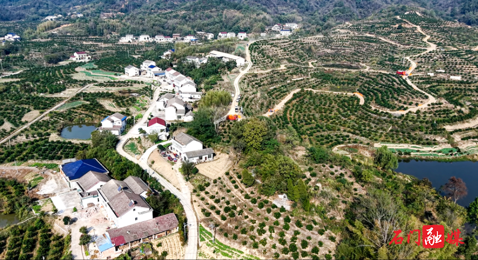 新铺镇:项目赋能强根基 民生提质暖民心3.jpg 新铺镇:项目赋能强根基 民生提质暖民心3.jpg