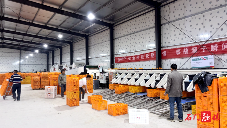 新铺镇:项目赋能强根基 民生提质暖民心2.jpg 新铺镇:项目赋能强根基 民生提质暖民心2.jpg
