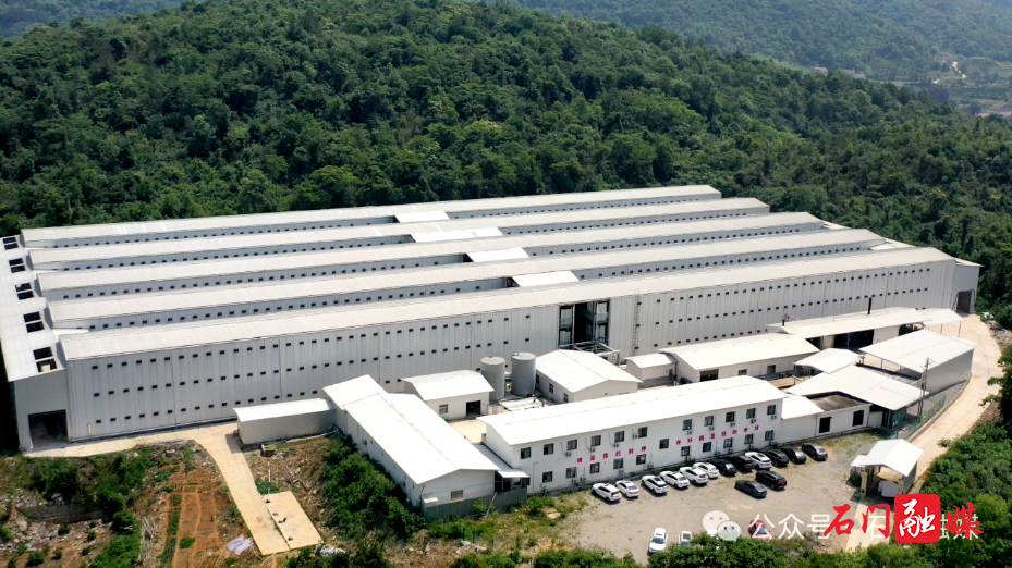 新铺镇:项目赋能强根基 民生提质暖民心8.png 新铺镇:项目赋能强根基 民生提质暖民心8.png
