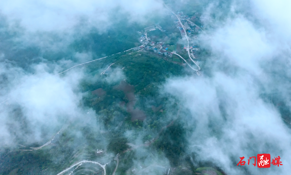 大同山国有林场:特色产业提质增效 绿脉永续开启新程10.jpg 大同山国有林场:特色产业提质增效 绿脉永续开启新程10.jpg